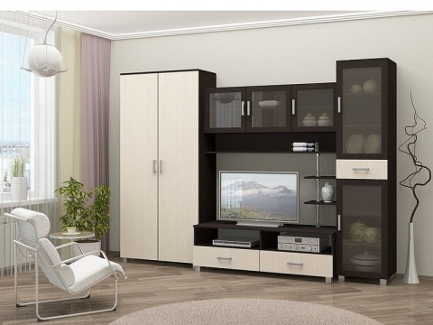 Гостиная Мартин Венге/Дуб Беленый (Ш-3000 x В-2200 x Г-420 мм)